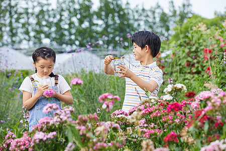 儿童在花丛中捕捉蝴蝶图片