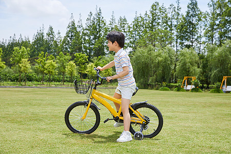小男孩草坪上骑单车背景图片