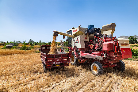 机械化收割联合收割机收麦子背景