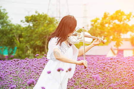 花海里演奏小提琴背景图片