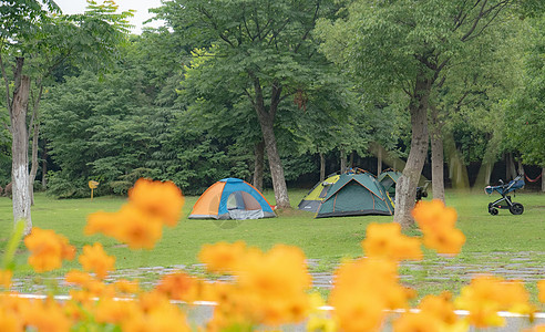 南昌艾溪湖湿地公园帐篷露营露宿图片