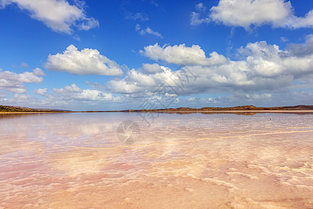 粉红沙滩澳大利亚珀斯粉红湖美丽风光背景