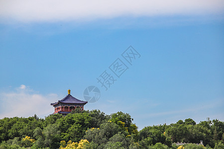 新疆乌鲁木齐红山公园瞭望楼图片