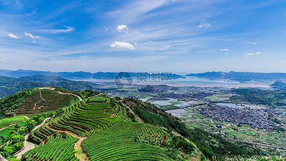 福州网红长龙茶山图片