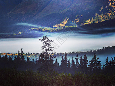 美国阿拉斯加雾气山景背景图片