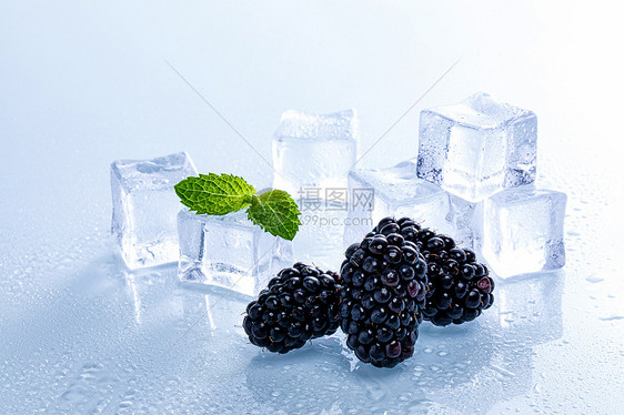 夏日冰爽黑莓图片