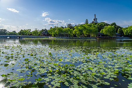 夏天的北海公园图片