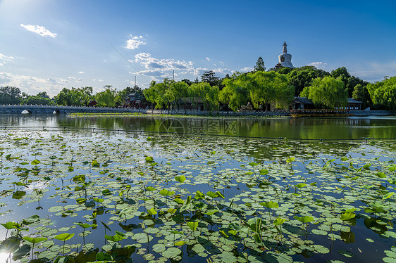 夏天的北海公园图片