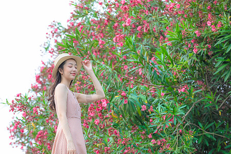 花园中国人夏季美女旅行逛花园背景