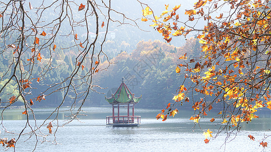 江西九江庐山芦林湖秋景高清图片