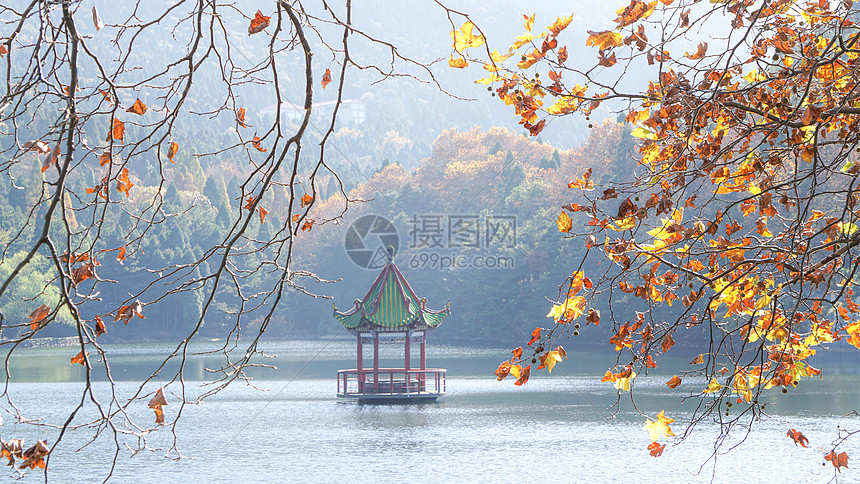 ‘~江西九江庐山芦林湖秋景  ~’ 的图片