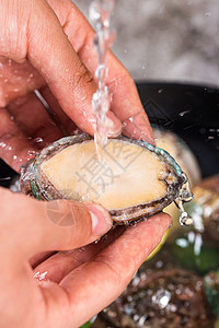 清洗鲍鱼肉海珍之冠阔口鱼高清图片