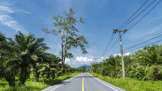 热带丛林中的旅行道路图片