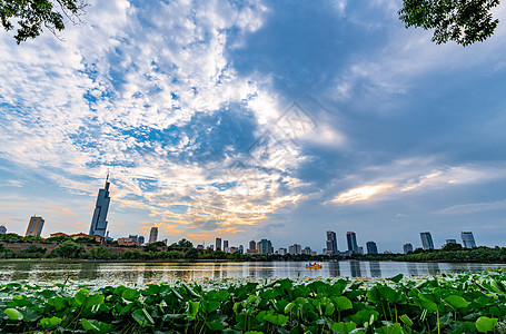 夏天南京玄武湖的荷花与晚霞图片