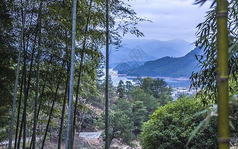 民宿世外竹林山景图片