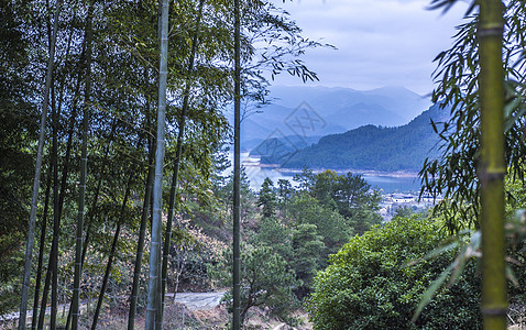 民宿世外竹林山景背景图片