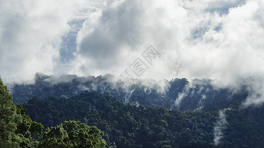 雨天户外泰国素叻他尼森林国家公园自然景观背景