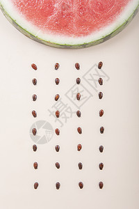 清新小暑夏季水果西瓜图片