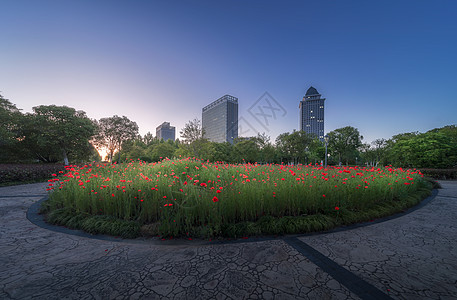 物业绿化城市小区景观背景