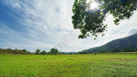 泰国高山草甸草场自然风光图片