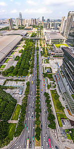 竖拍城市建筑广州市琶洲道路竖屏车流背景图片