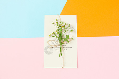 创意卡片设计色彩静物小雏菊背景