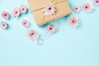 小雏菊礼物盒图片