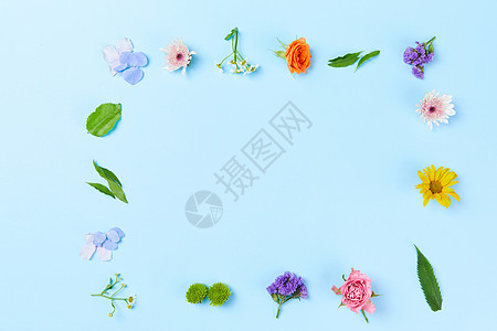 色彩鲜花静物图片