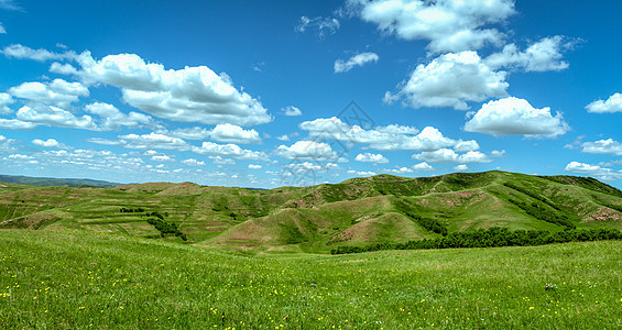 内蒙古大草原景观图片