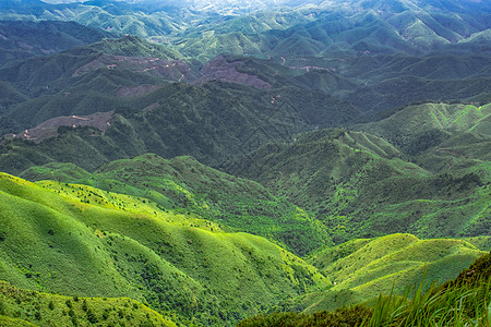 群山绿色背景