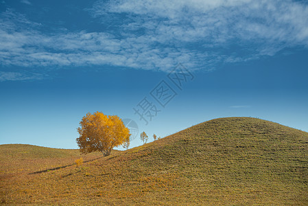 草原日出内蒙坝上金秋美景背景