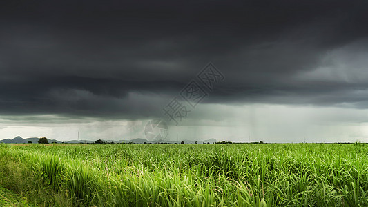 热带草原泰国热带暴风雨下的农业农田背景