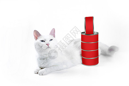 白猫背景 白猫摄影图片 白猫壁纸 摄图网