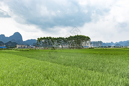昆明旅游景点大全_罗马旅游攻略景点大全_昆明市区旅游攻略景点必去