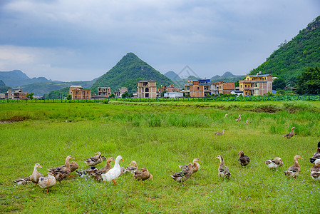 乡村风景乡村田园自然风光背景