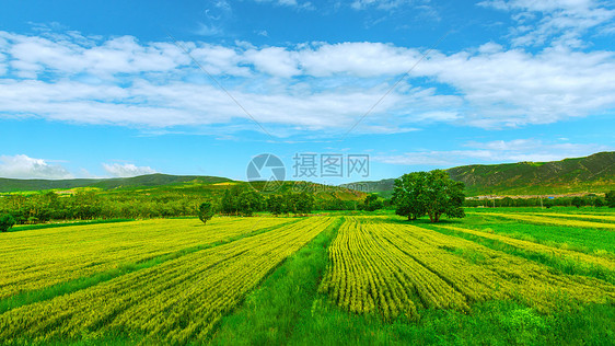 田园景色图片