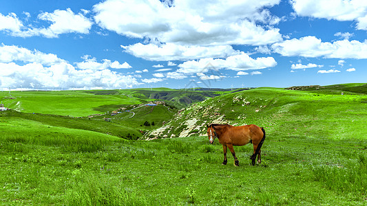 内蒙古大草原夏季景观图片