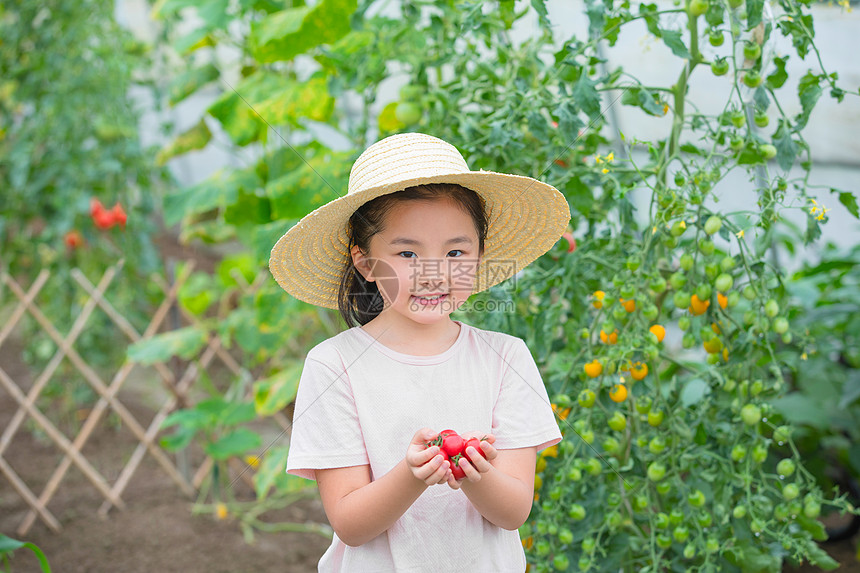 戴帽子小女孩手捧圣女果图片