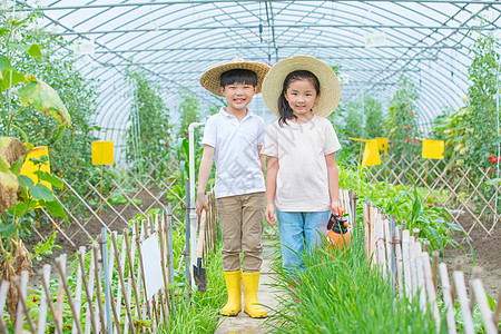 在农场玩耍的小男孩和小女孩图片