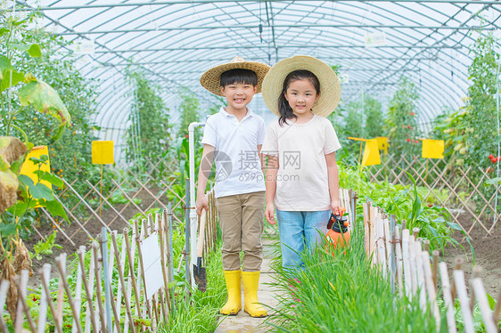 在农场玩耍的小男孩和小女孩图片