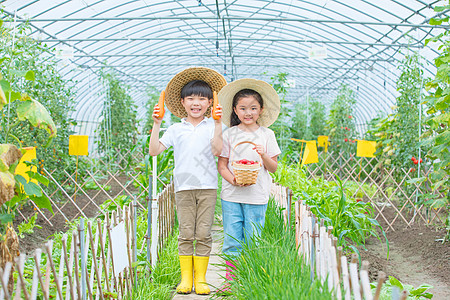 在农场玩耍的小男孩和小女孩高清图片