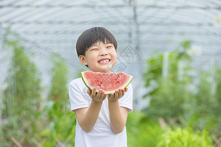 小男孩开心吃西瓜图片