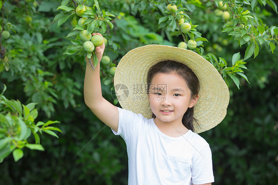 戴帽子小女孩摘果子图片