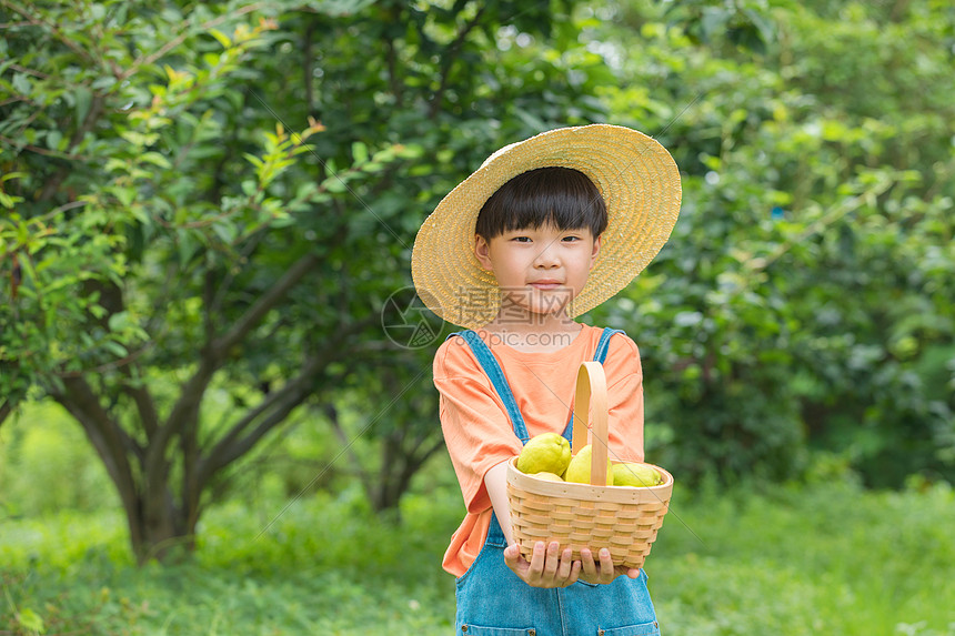 小朋友在户外手捧一篮水果图片