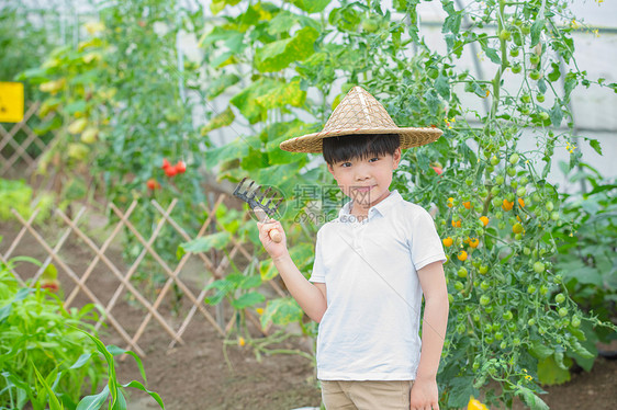 小男孩拿着耙子站在果树前面图片