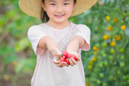 戴帽子小女孩手捧小西红柿图片