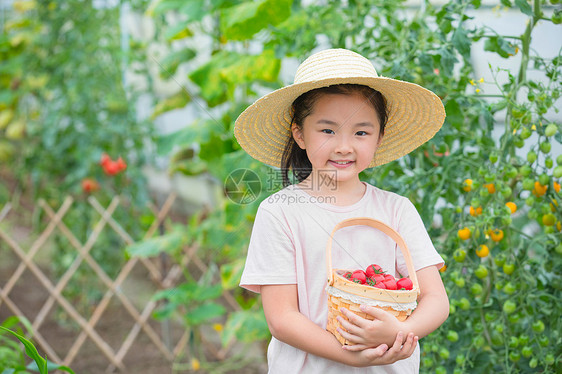 戴帽子小女孩手捧一篮小西红柿图片