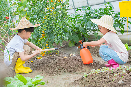 农场优惠活动图片