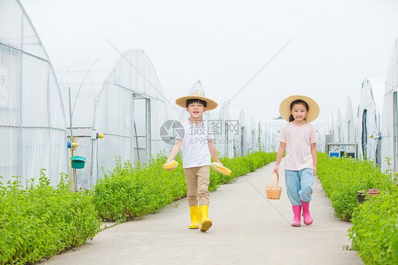 男孩和女孩在农村田间小路玩耍图片