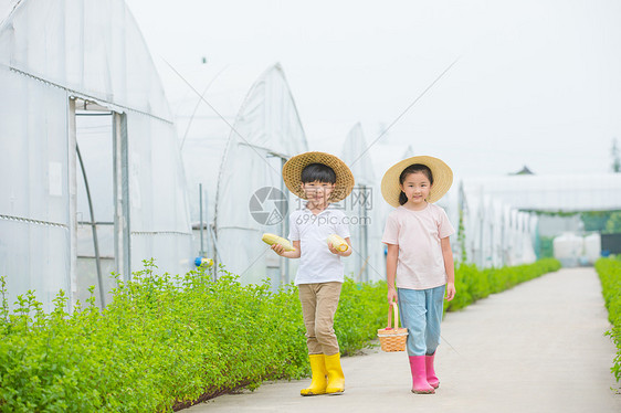 男孩和女孩在农村田间小路玩耍图片